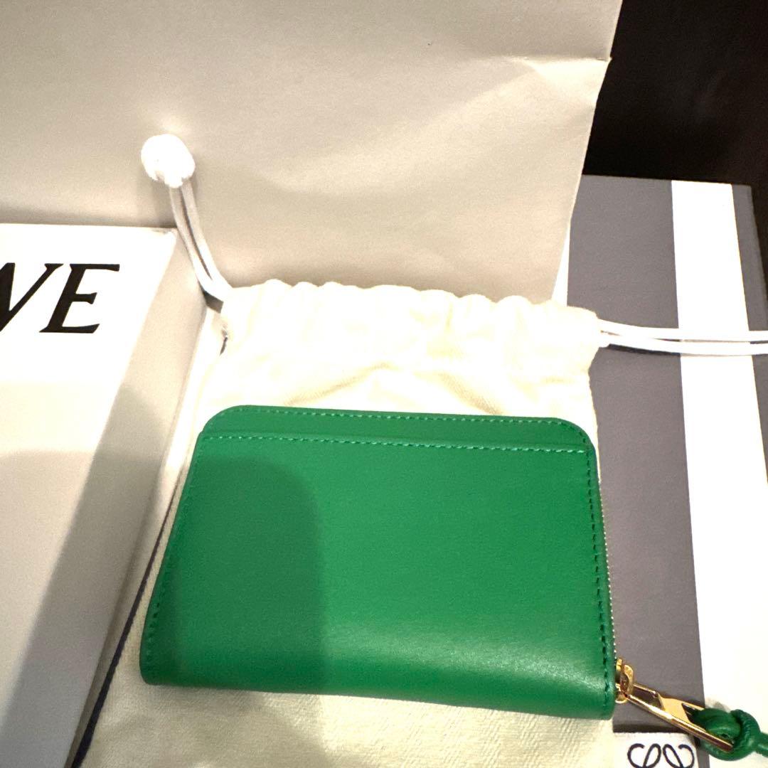 新品⭐︎ロエベ⭐︎デイジージップパース