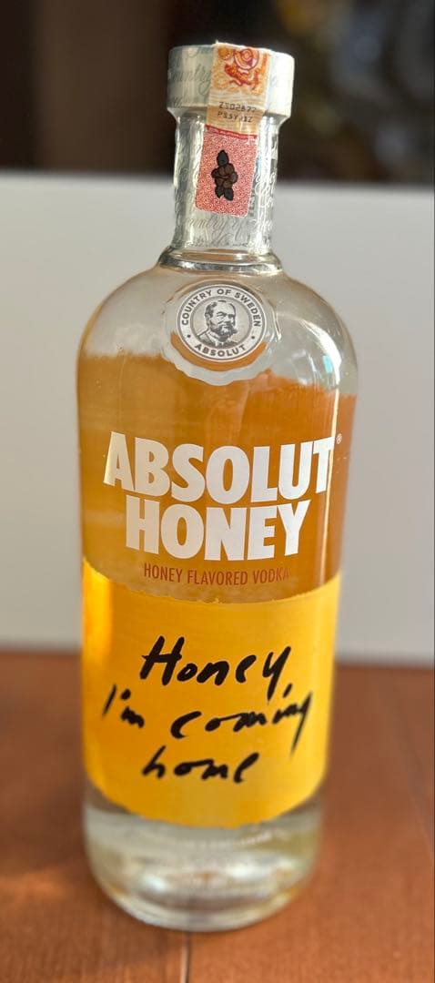 レアABSOLUT VODKA TRAVELER’S EXCLUSIVE 1L