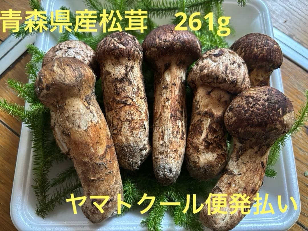 青森県産松茸　マツタケ　261g