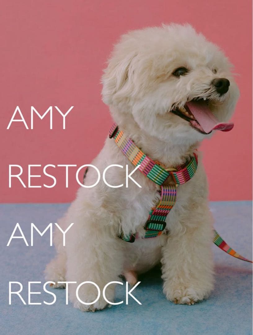 ciiron TOKYO AMY(エイミー) ハーネス