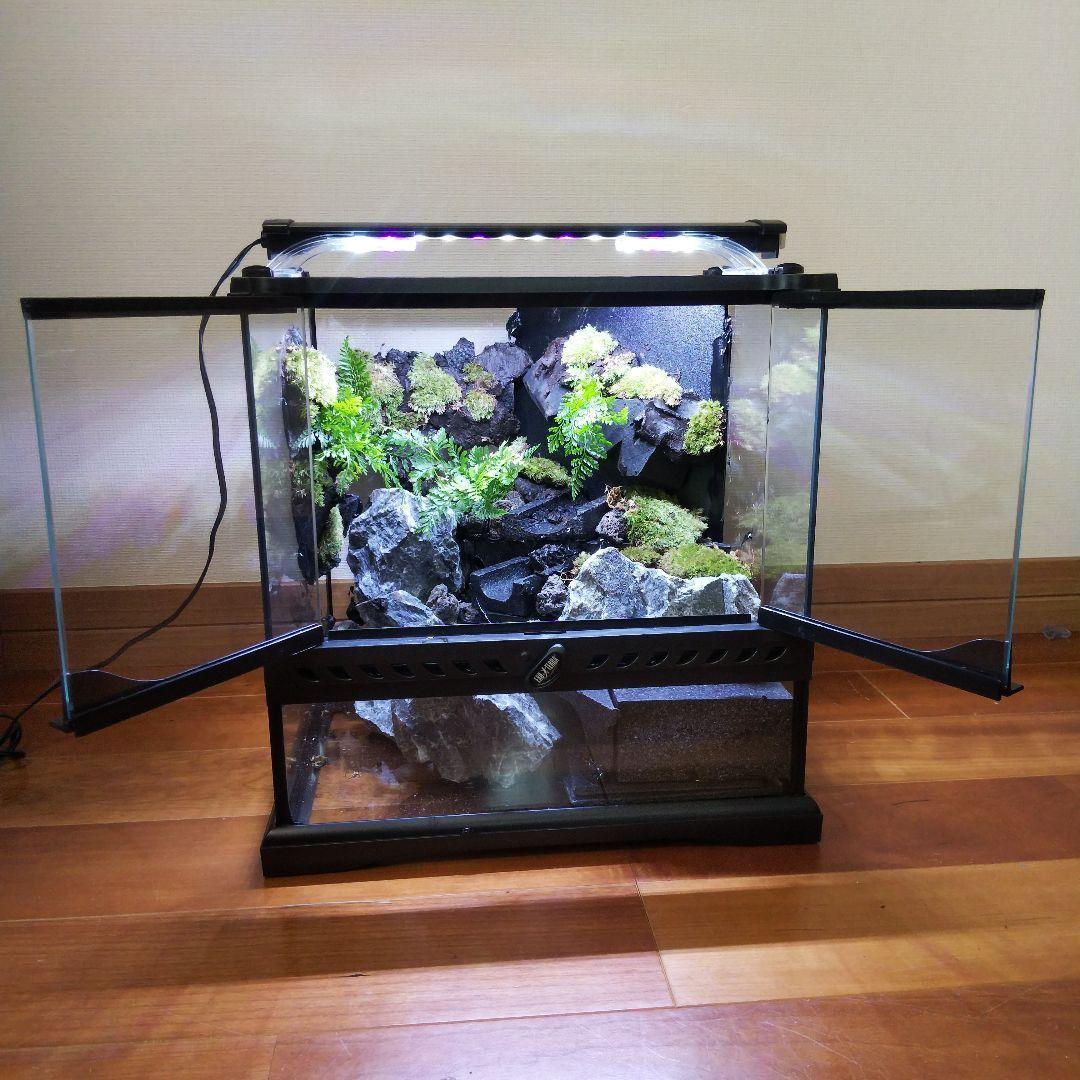 【受注生産】グラステラリウム3030　イモリウム　苔テラリウム