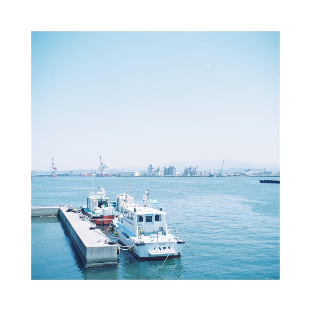 ⌘動作確認済み！ 作例あり！ 二眼レフ 海鴎 シーガル 4A-103⌘