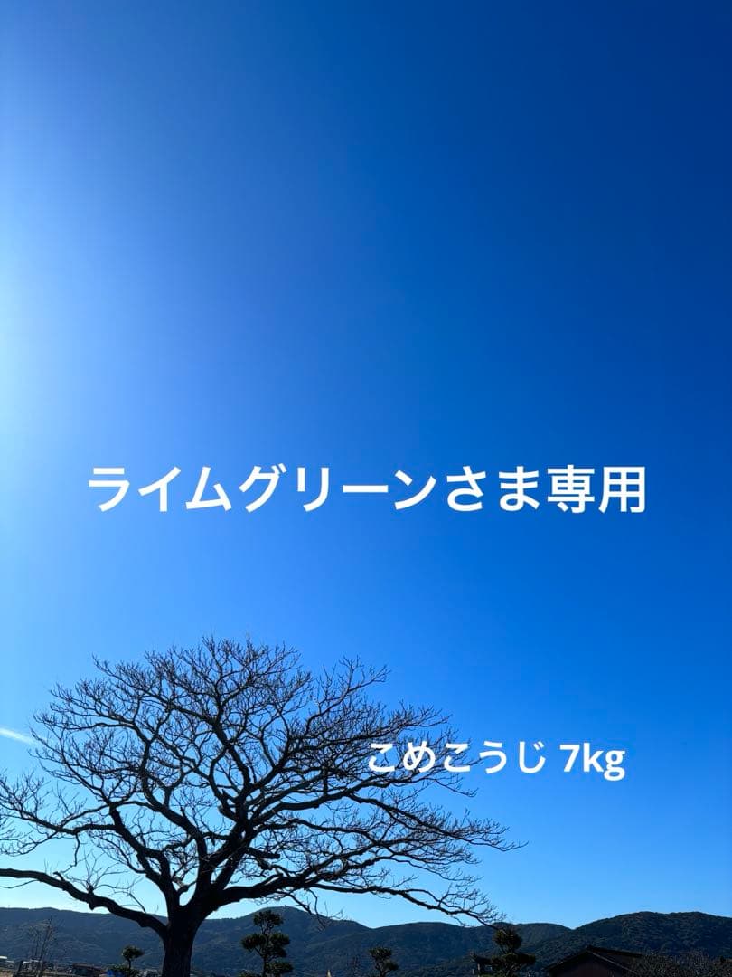【 ライムグリーンさま専用 】
