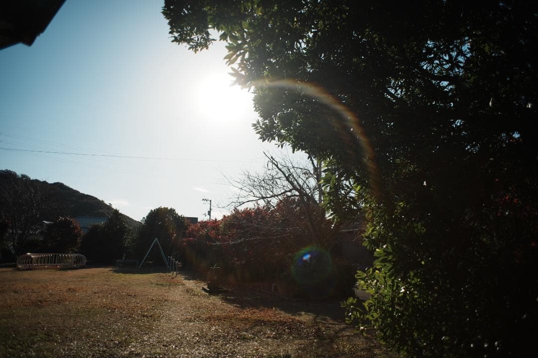 【希少極美品】 Pentax SMC Takumar 24mm F3.5 374