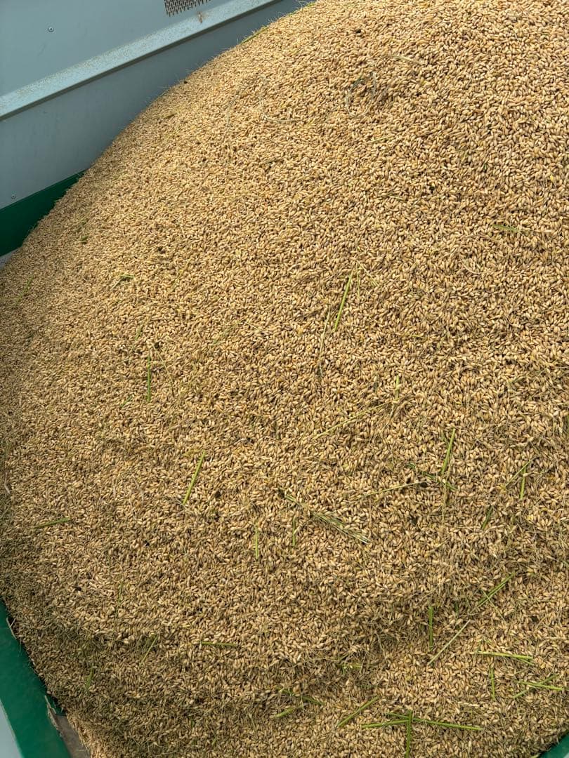 山形県産最上ほたる米　農家直送つや姫精米10kg