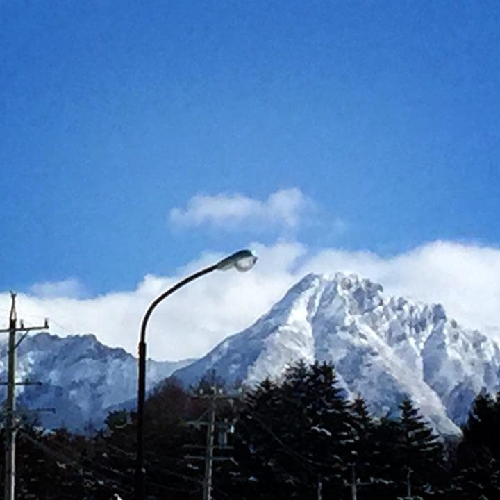 【限定】八ヶ岳産 いちご 約240g x 4パック/箱 ※残留農薬未検出