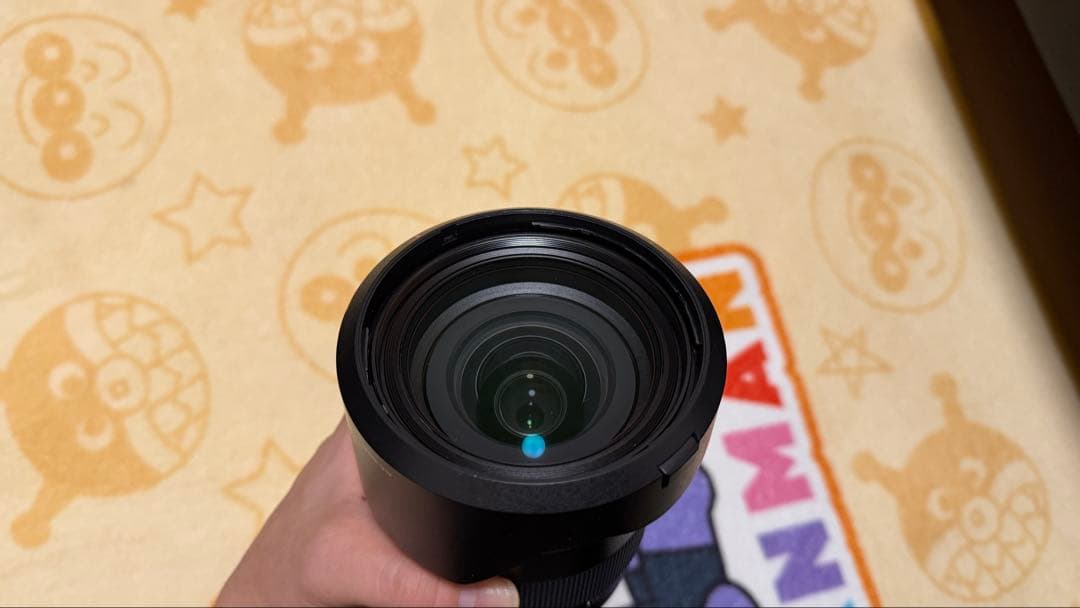 SONY ズームレンズ