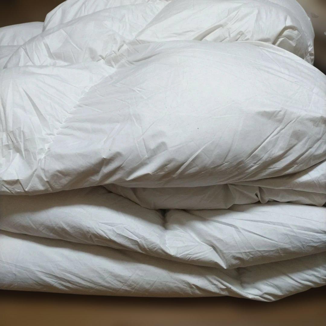 期間限定値下げ　訳あり　ニトリ　羽毛布団