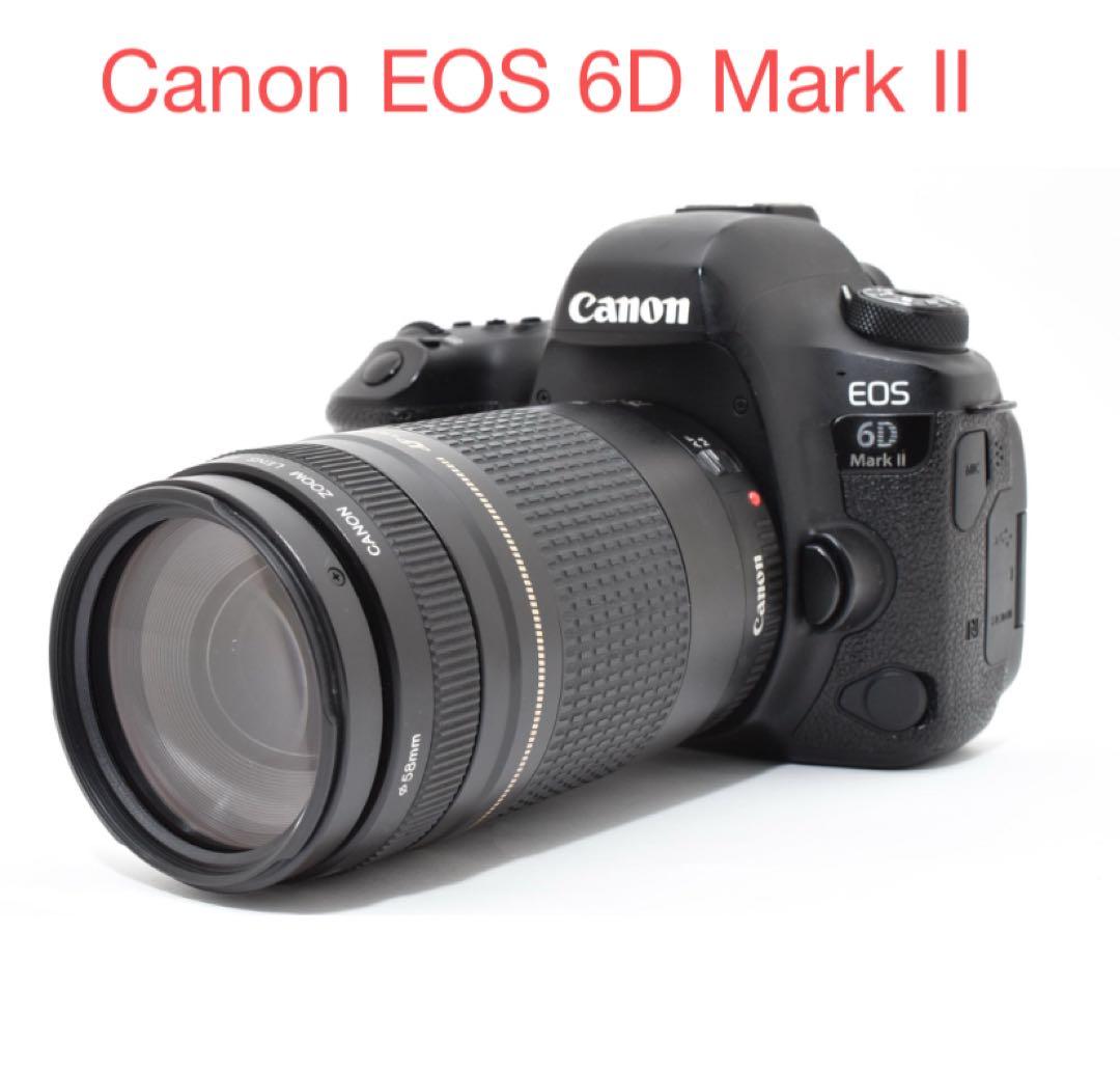 デジタル一眼レフカメラCanon EOS 6D Mark II 望遠レンズセット