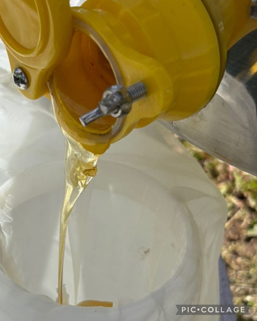 国産 長野県長野市 非加熱はちみつ 1200g 2本 ②