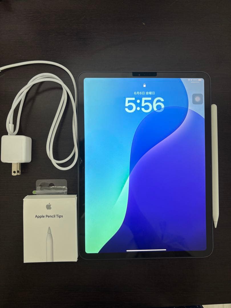 iPad Pro 11インチ Wi-Fi 256GB Apple Pencil2
