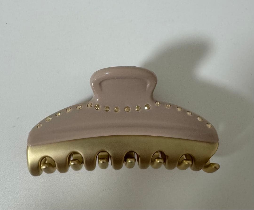 alexandre de paris M ヘアクリップ　人気の色