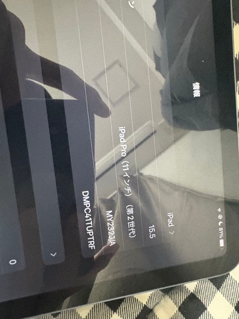 iPad Pro (11インチ) 第2世代 シルバー