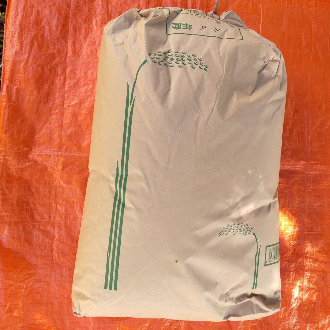 玄米キヌヒカリ　30キロ　兵庫県産