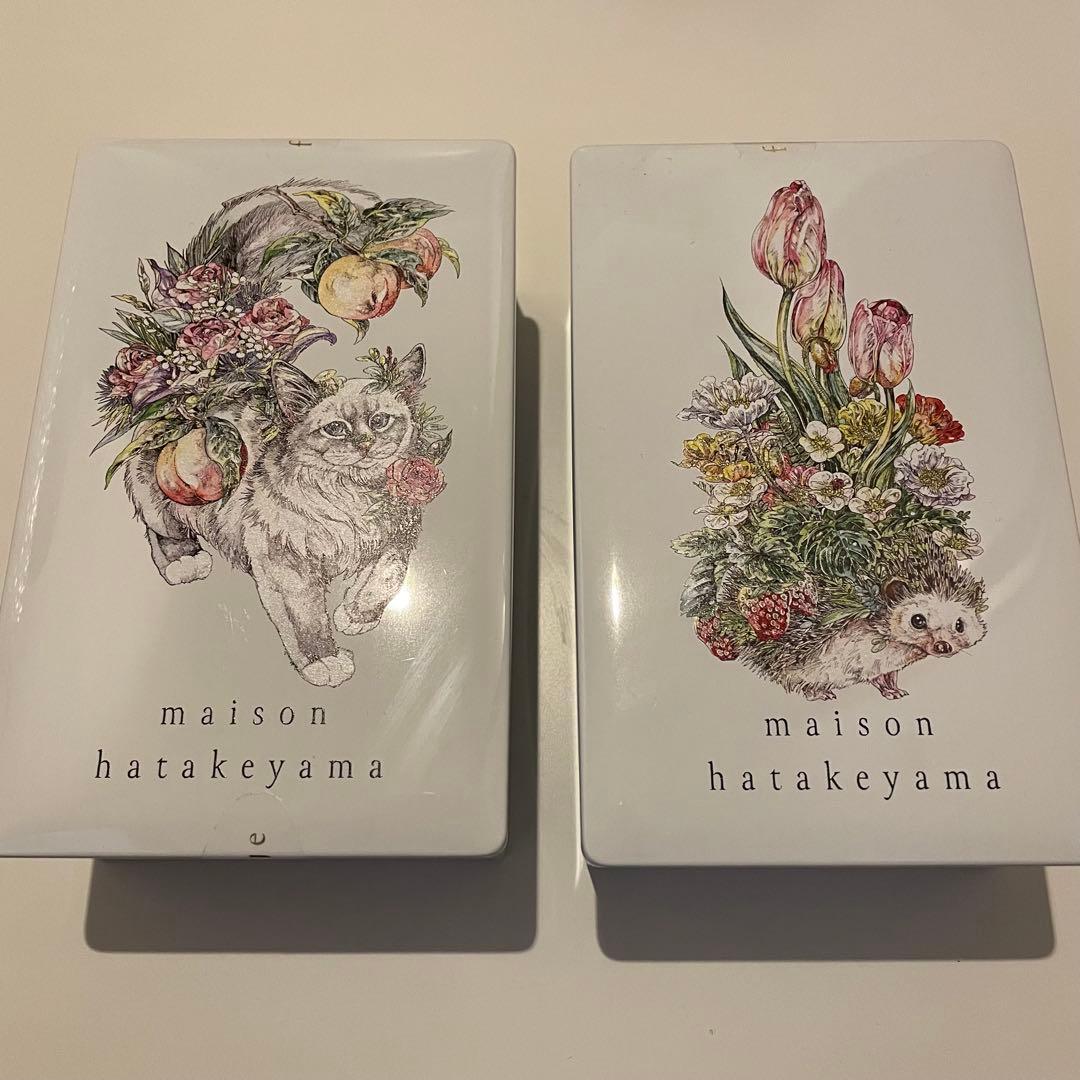 メゾンハタケヤマ　サブレメゾン　メゾンショコラ　サロショ　田中みな実　さっしー