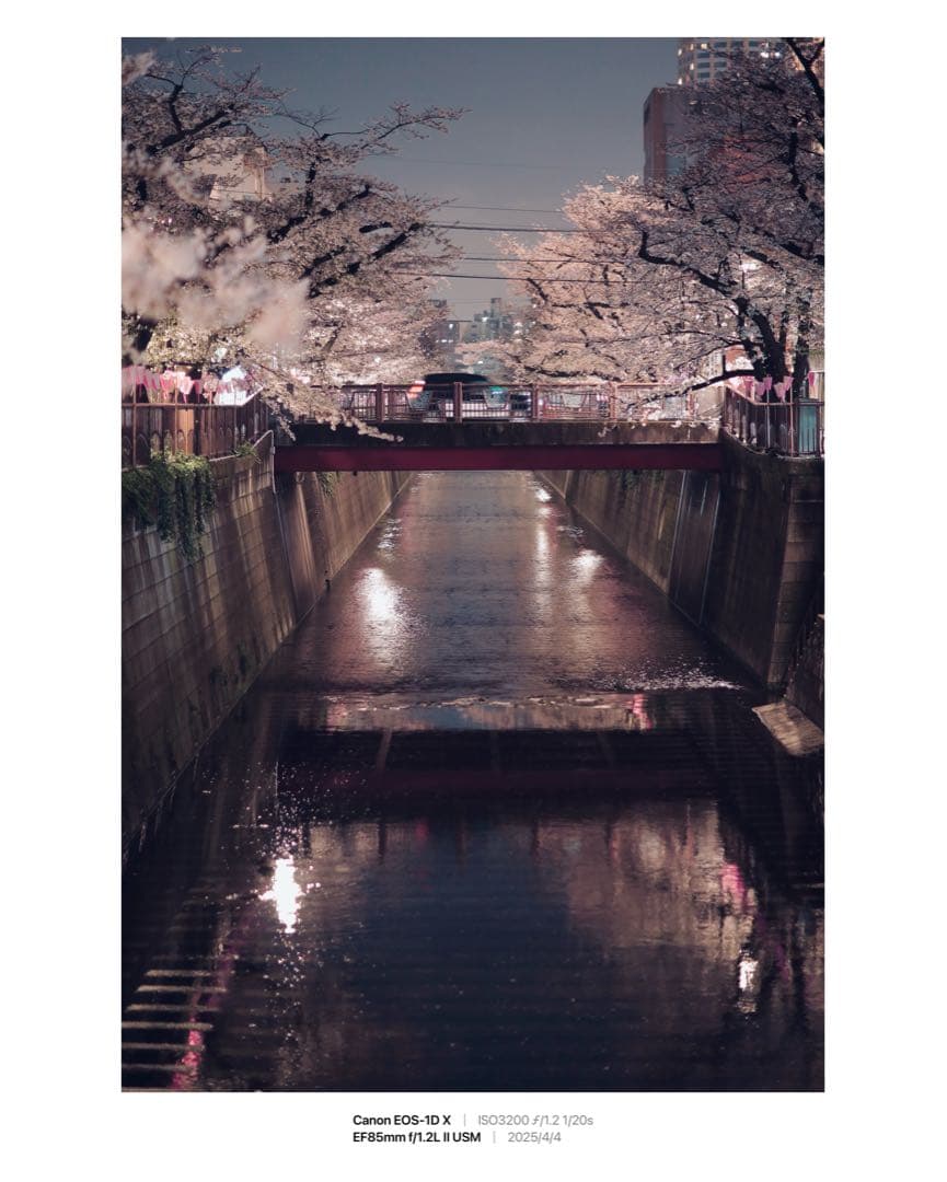 Canon EF 85mm f1.2L II USM レンズ　キヤノン