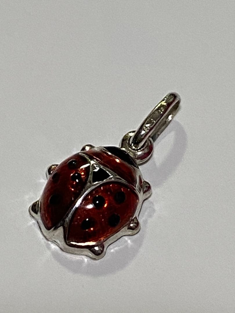 k18 ウノアエレ　テントウムシ　チャーム