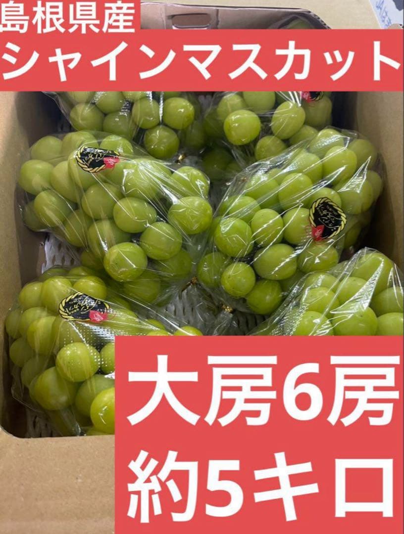 ③ 【島根県産】シャインマスカット約5キロ 大房の6房