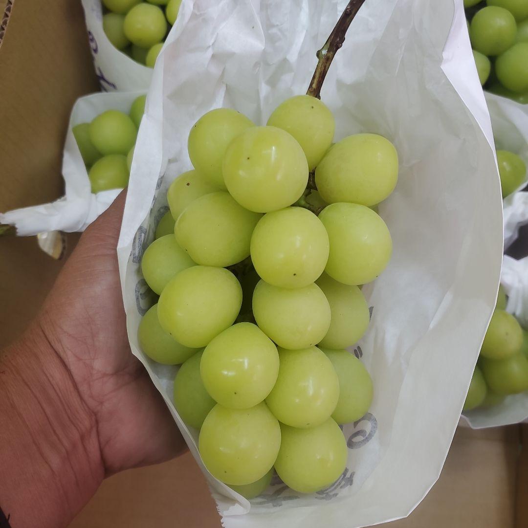 6️⃣ 山梨県産 シャインマスカット １０房入り 箱込み5.7キロ
