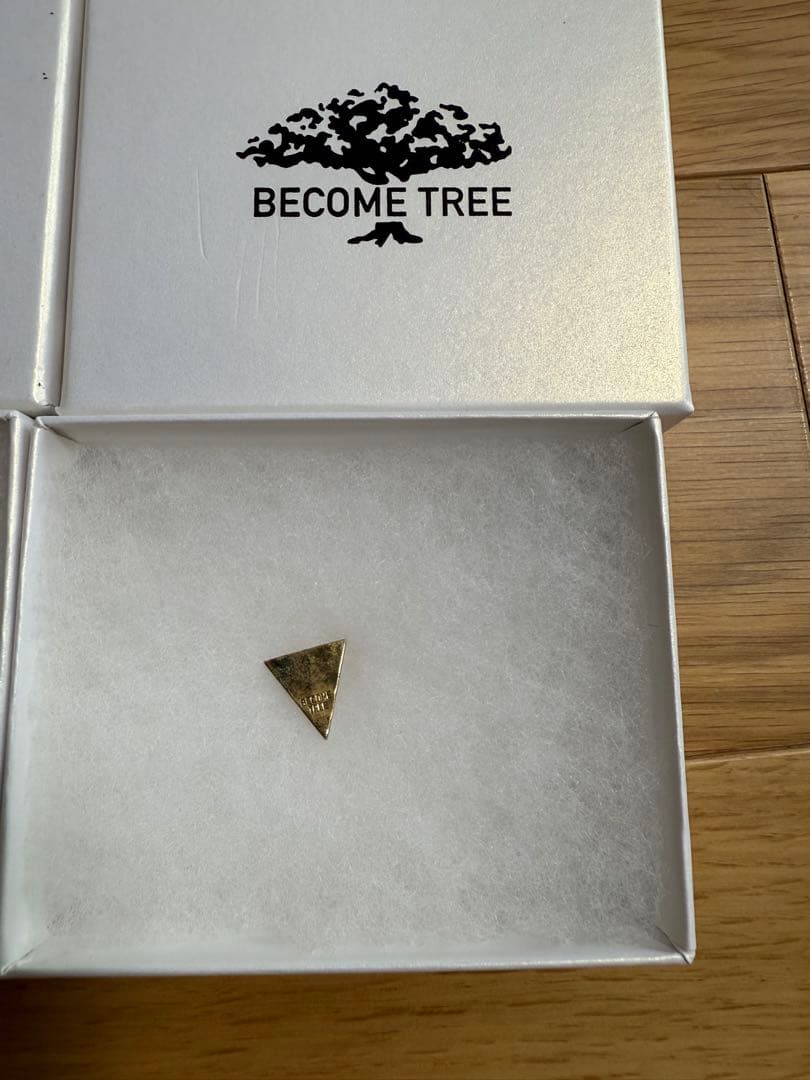 BECOME TREE ピアス セット