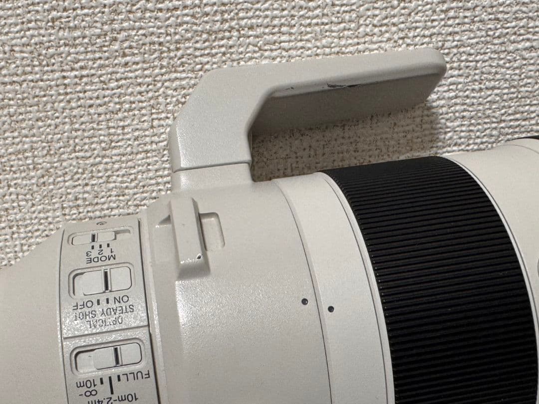 レンズ(ズーム) SONY FE200-600mm F5.6-6.3 G OSS