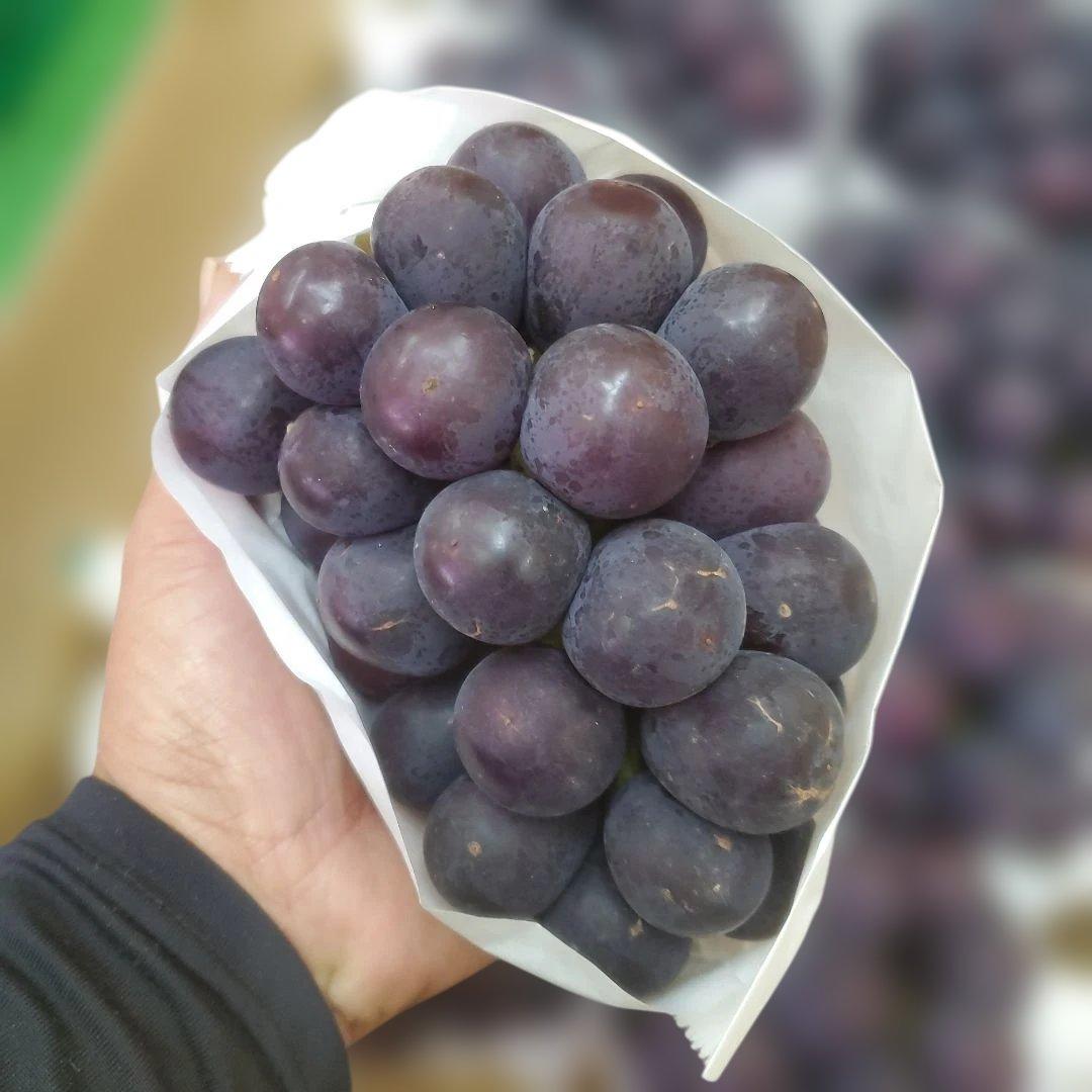 5️⃣ 山梨県産 巨峰 １０房入り 箱込み5.7キロ