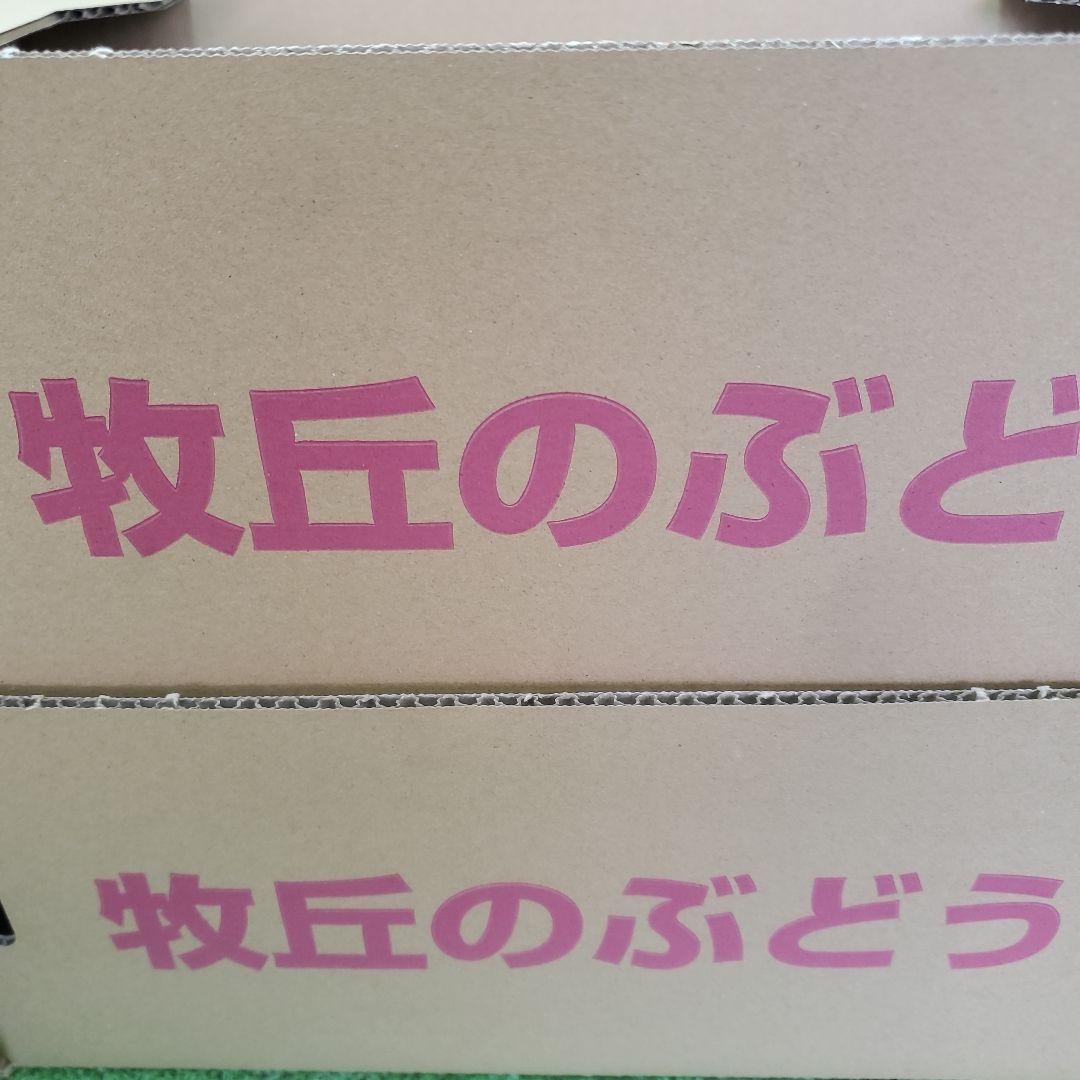 5️⃣ 山梨県産 巨峰 １０房入り 箱込み5.7キロ