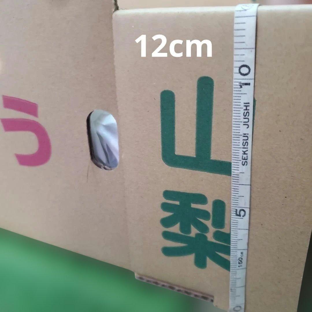 5️⃣ 山梨県産 巨峰 １０房入り 箱込み5.7キロ