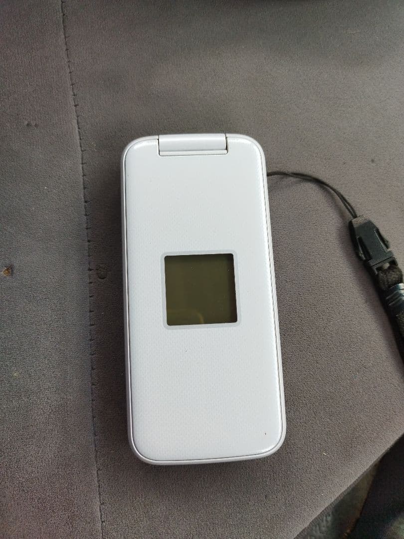 F-01M本体＆充電器付き＆首さげストラップ＆らくらくホン