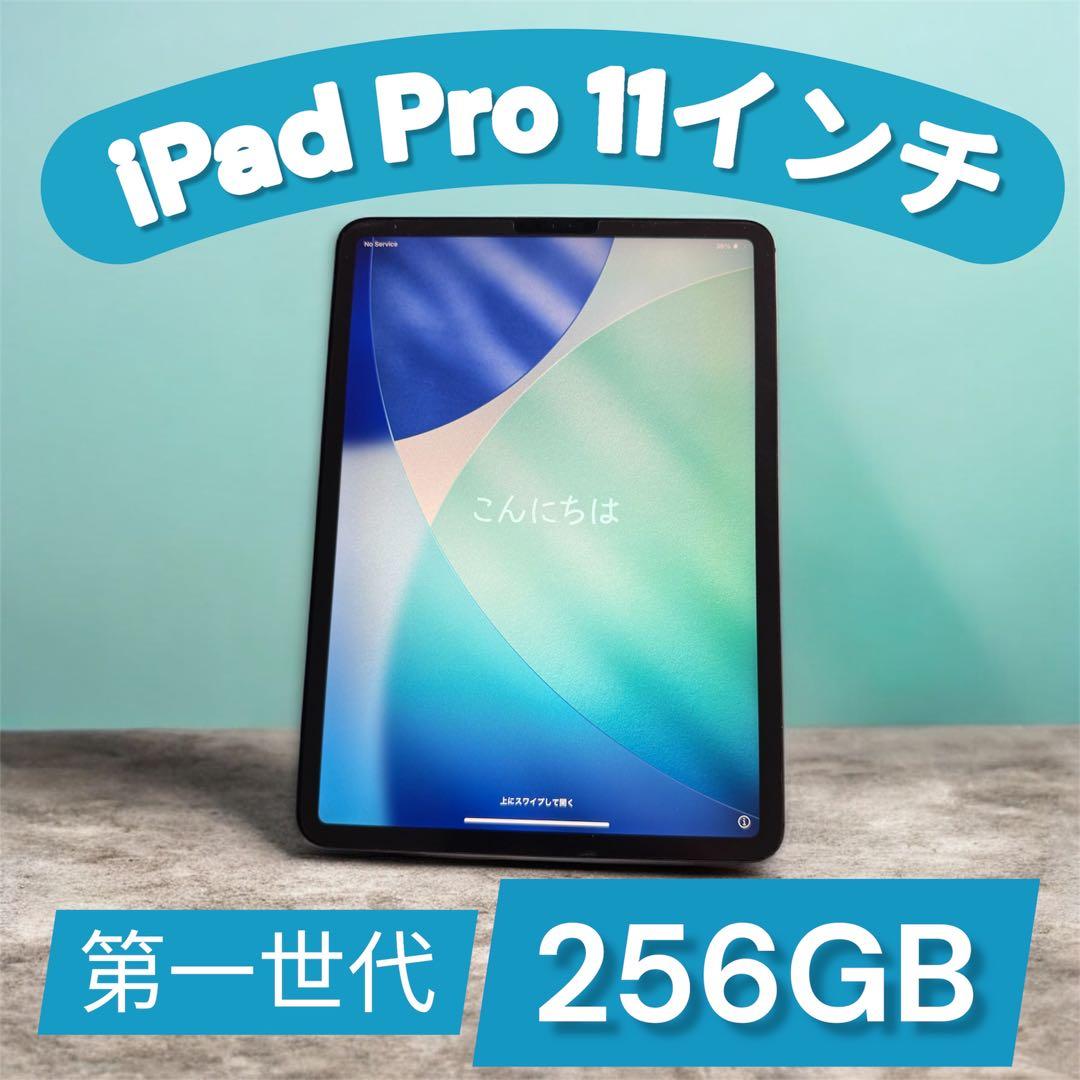 iPad Pro (11) Wi-Fi + Cellular SIMフリー