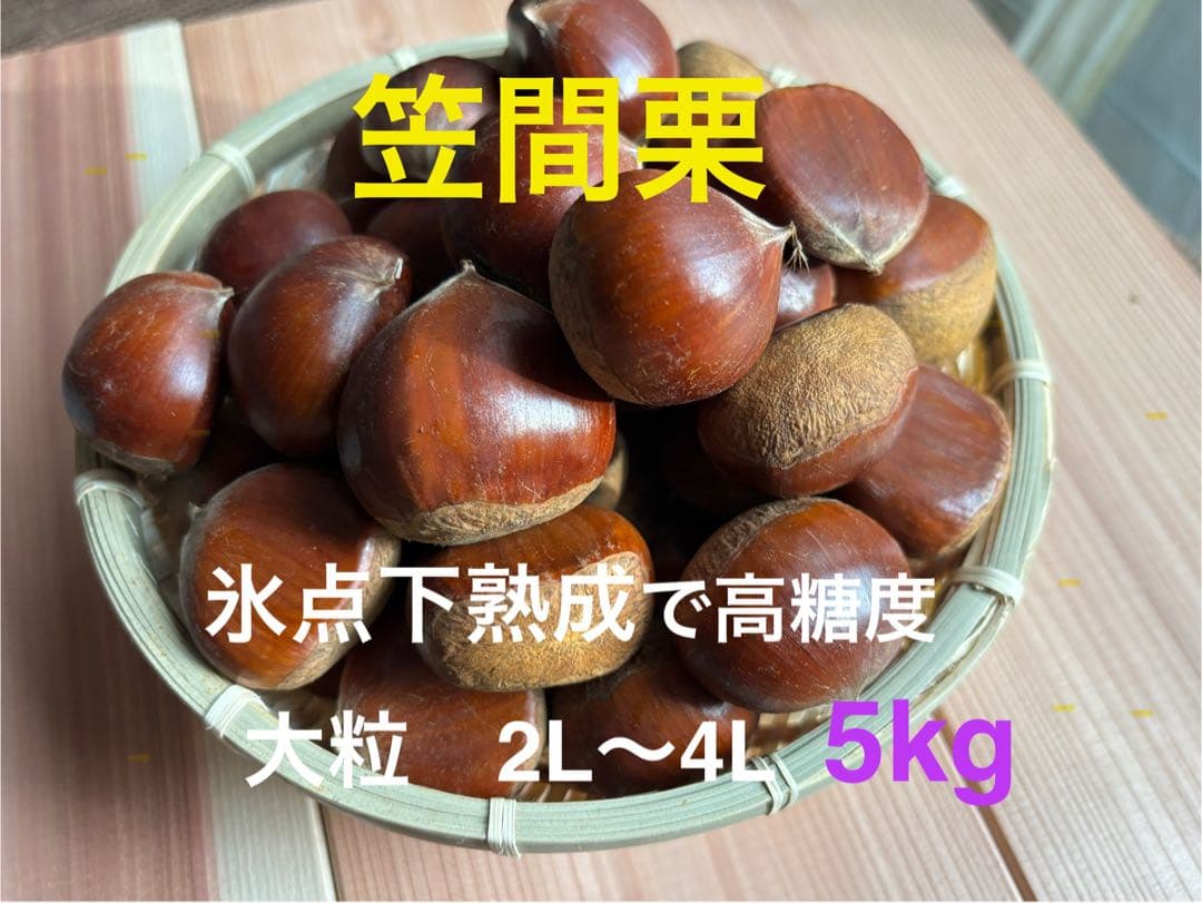 笠間栗 大粒 5kg