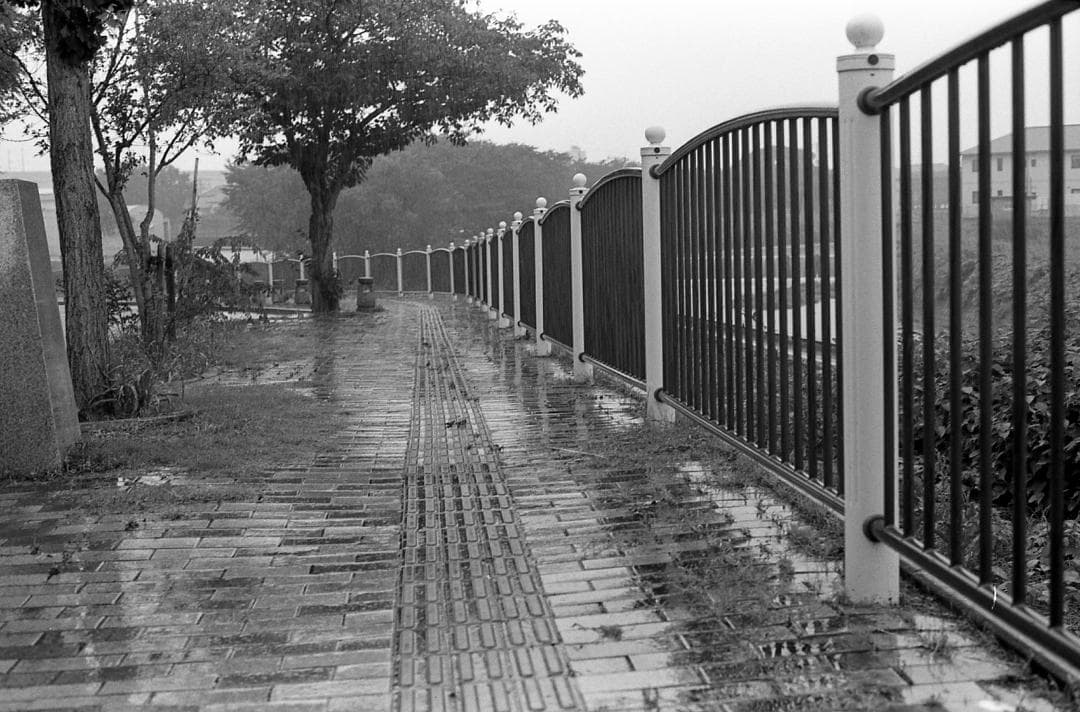 【整備済完動品】Canon AE-1 PROGRAM+FD 50mm F1.4