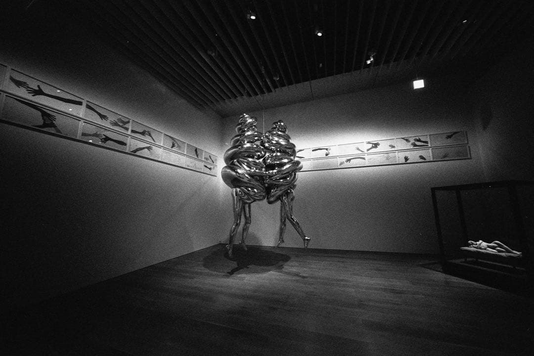 フォクトレンダー Heliar 12mm F5.6 VM ビューファインダー付き