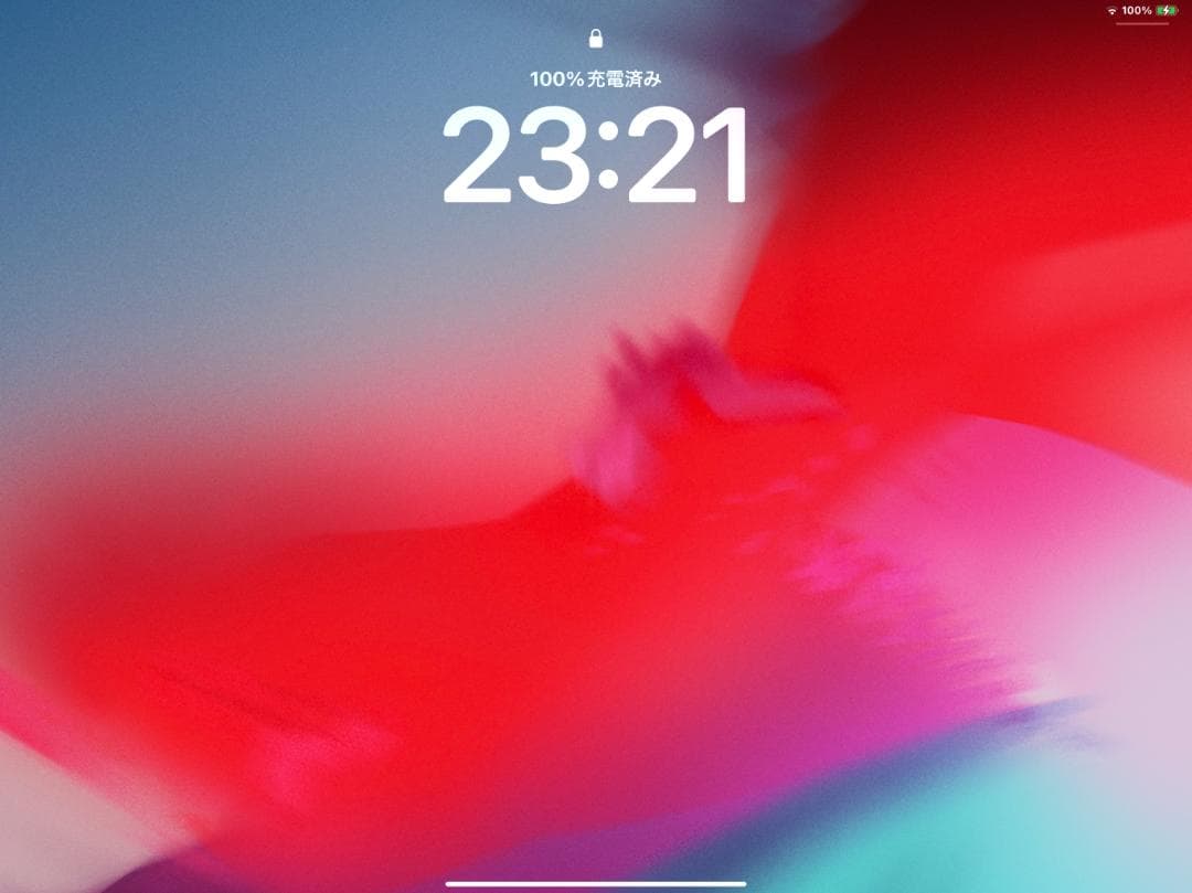 iPad Pro 12.9 第4世代 256GB 極美品 バッテリー100%