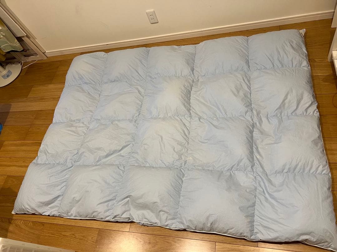 ポーランドグースダウン90% ドイツ製「セダウナ」　シングル 1.1k 軽量