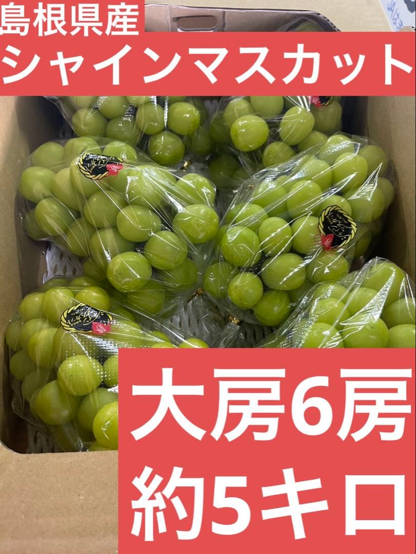 ① 【島根県産】シャインマスカット約5キロ 大房の6房