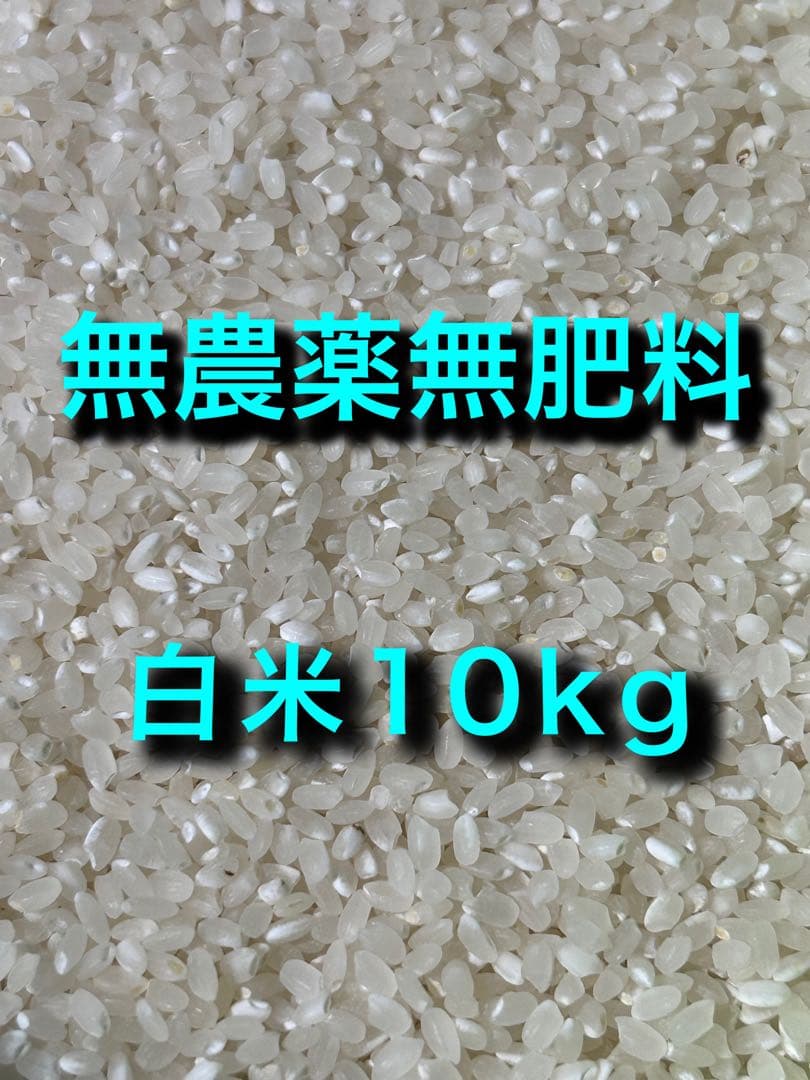 令和七年産 農薬不使用 無肥料 白米10kg