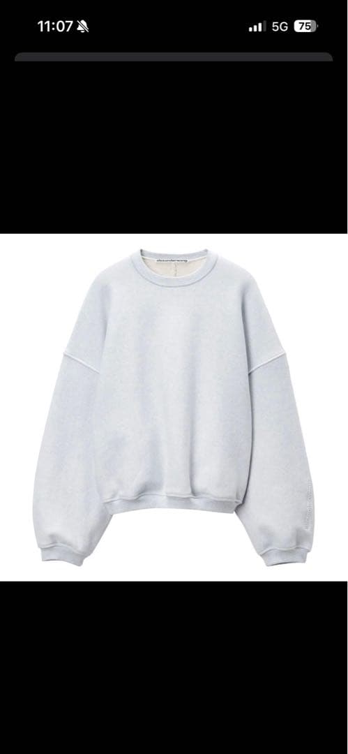 Alexander Wang ロゴスウェットシャツ トレーナー 登坂広臣 ØMI