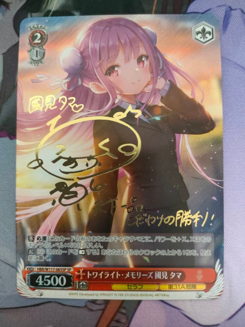 トワイライトメモリーズ國見タマ sp