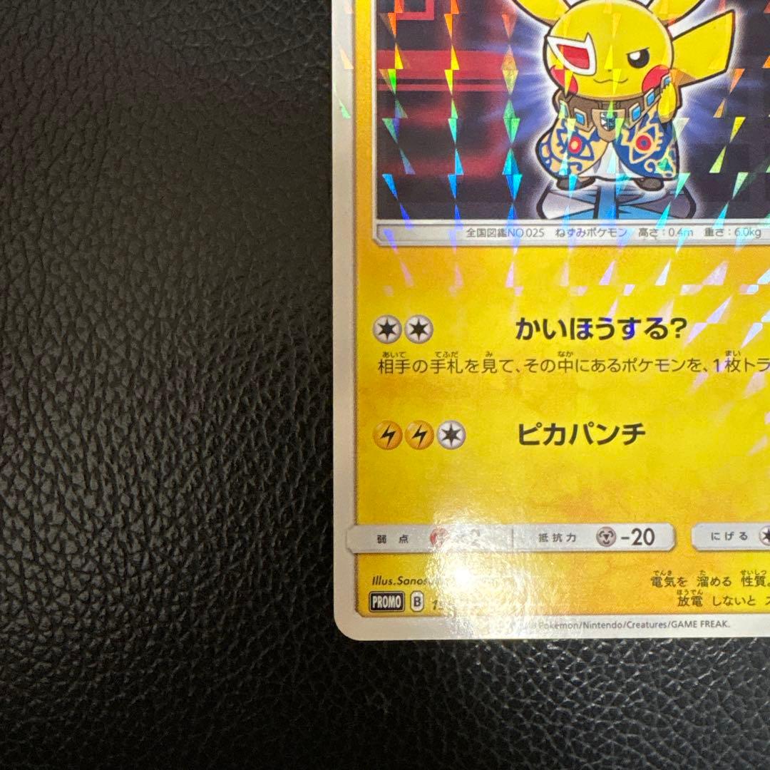 【Matheus様】専用 ピカチュウ プラスマ団 カード 195/5M-P