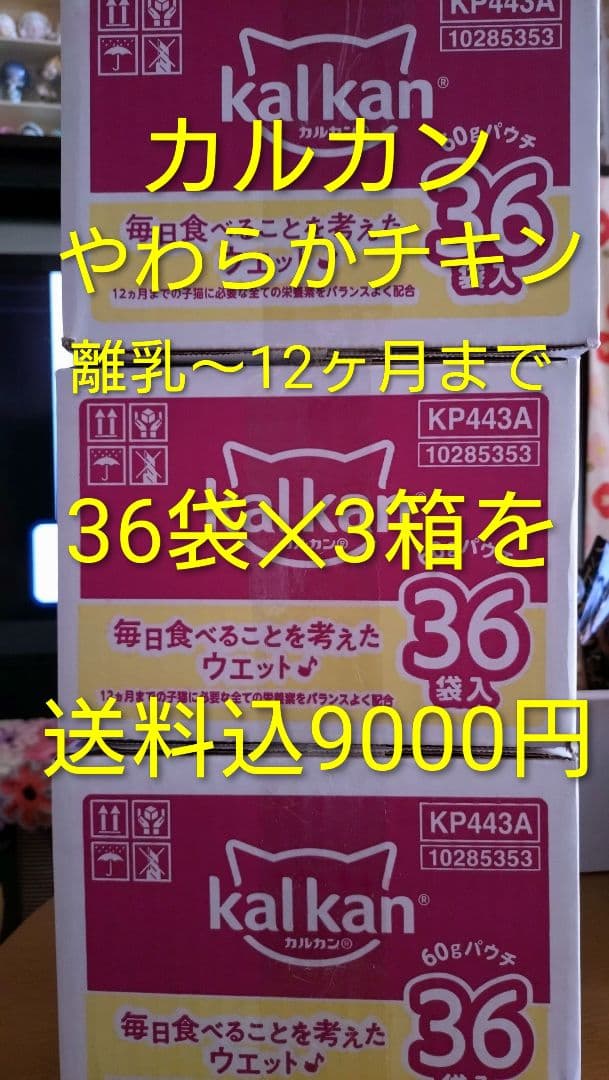 猫　フード　子猫　老猫　カルカン　やわらかチキン