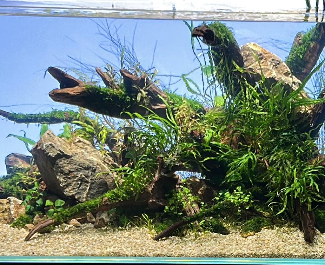 ライトスクリーン90