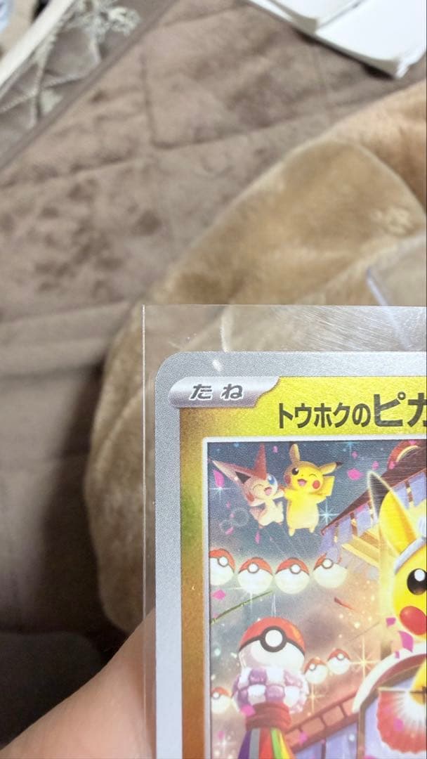 トウホクのピカチュウ P [SV-P 260