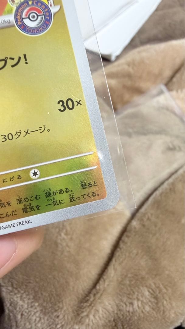 トウホクのピカチュウ P [SV-P 260