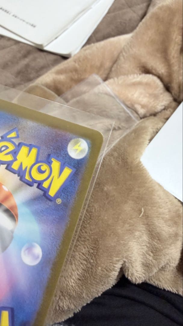 トウホクのピカチュウ P [SV-P 260