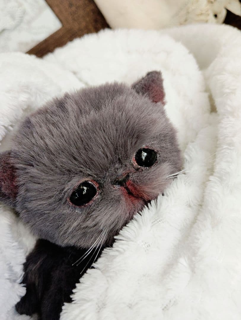 ミントグリーン様御予約❤️くりくりオメメ♡生後２週間♡子猫の黒豆ちゃん