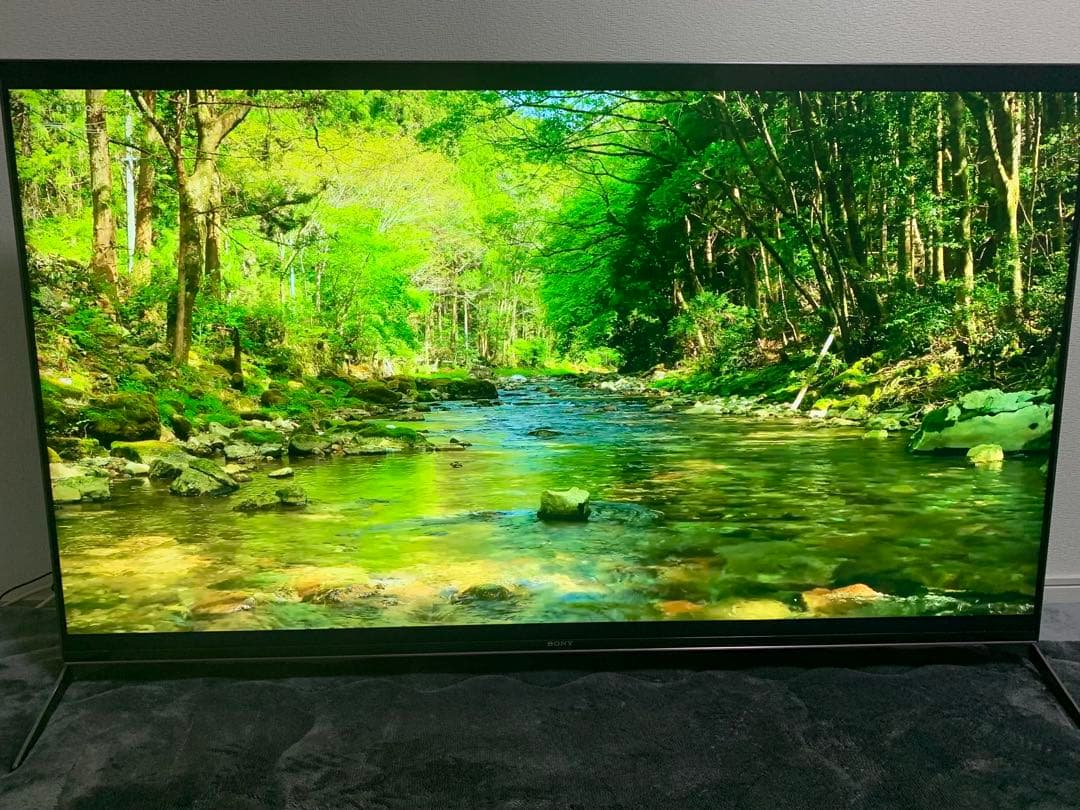テレビ Sony Bravia KJ55X9500H