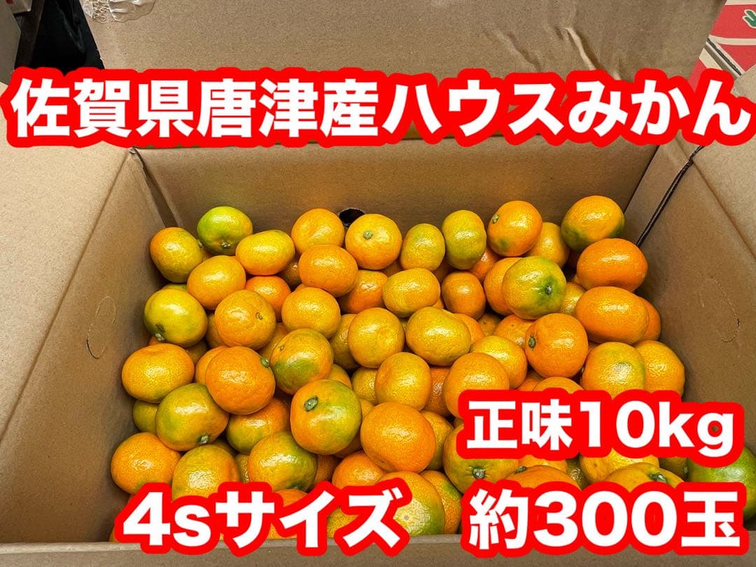 ⑴佐賀県唐津産ハウスみかん 10kg 約300玉