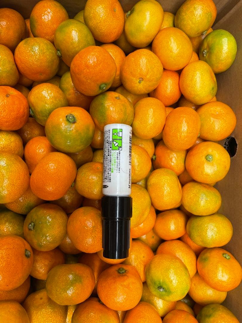 ⑴佐賀県唐津産ハウスみかん 10kg 約300玉