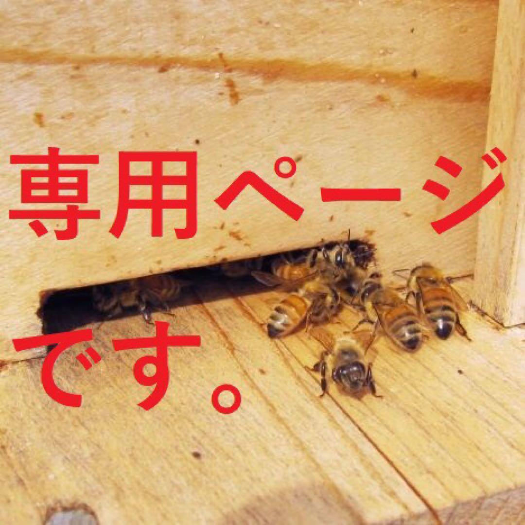 専用【非加熱・生はちみつ】菜の花蜜1000g&れんげ 1000g(2本)